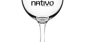 Taças de gin personalizadas no ABC