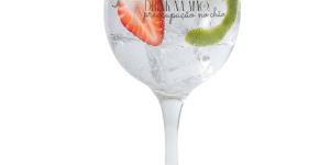 Taça Gin de vidro Personalizada